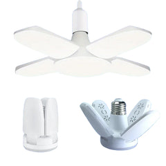 Fan Shape Lights