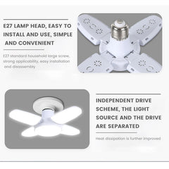 Fan Shape Lights