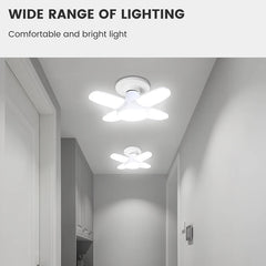 Fan Shape Lights