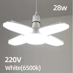 Fan Shape Lights