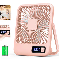 Portable Desk Fan