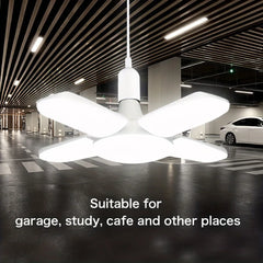 Fan Shape Lights