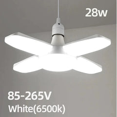 Fan Shape Lights