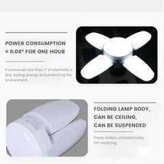 Fan Shape Lights